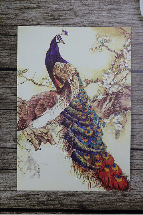 Load image into Gallery viewer, SC 2765 Colourful antique peacock party invitation
