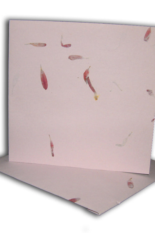 Load image into Gallery viewer, Aster Pink Card blanks with matching envelopes Dry Flowers 1511
