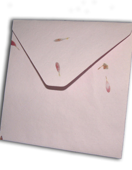 Aster Pink Card blanks with matching envelopes Dry Flowers 1511