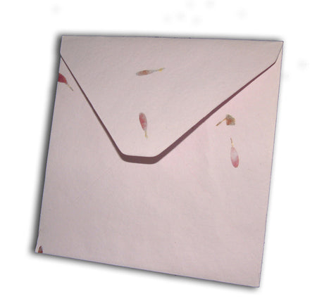 Aster Pink Card blanks with matching envelopes Dry Flowers 1511