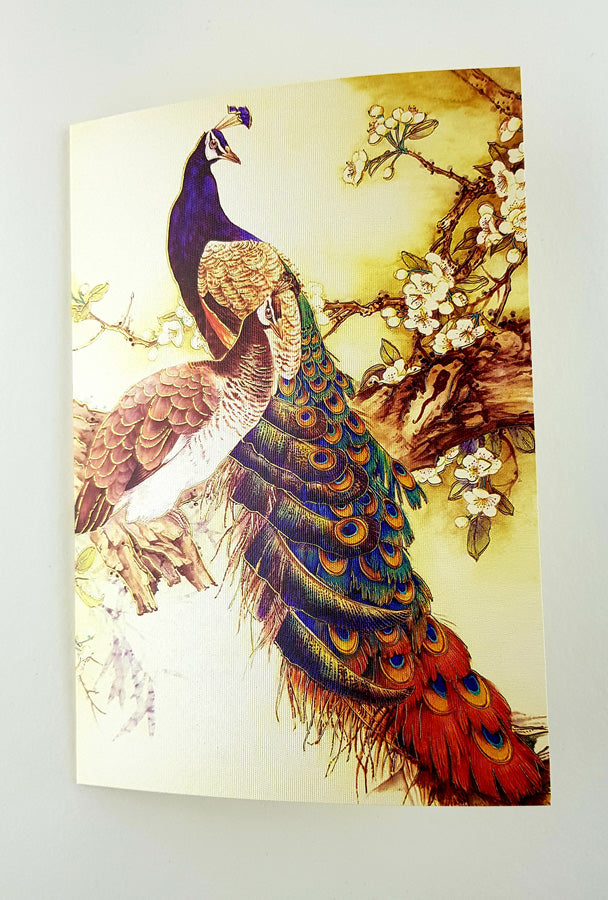 SC 2765 Colourful antique peacock party invitation