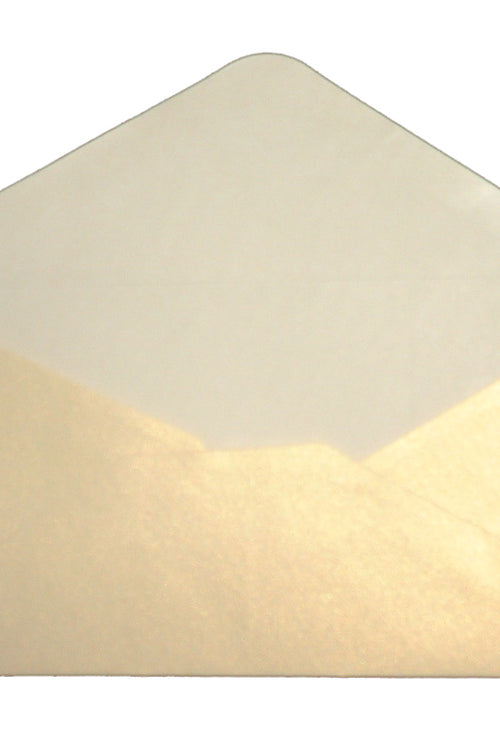 Load image into Gallery viewer, DL Light Gold (PM40-19) 110mm x 220mm pearl metallic invitations Envelope
