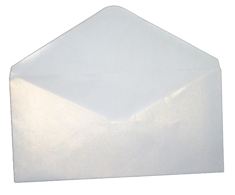 DL Ice White (PM40-17) 110mm x 220mm metallic cardstock Envelope