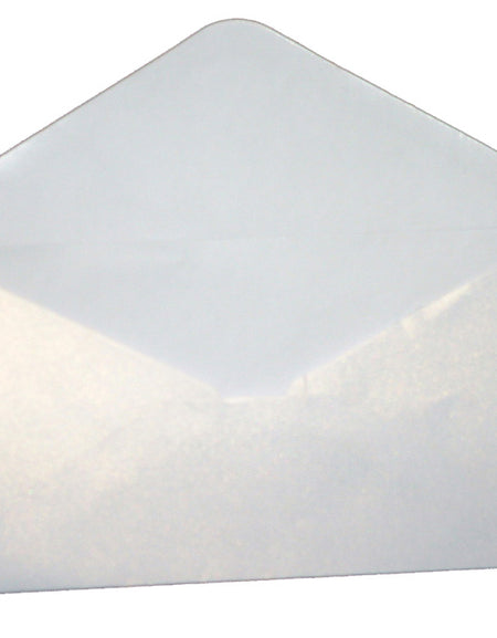 DL Ice White (PM40-17) 110mm x 220mm metallic cardstock Envelope