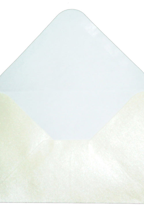 Load image into Gallery viewer, E14 Cream (PM40-18) Luxury silver pearl Envelopes
