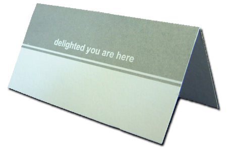 PL01 Silver Grey Fold over table place card