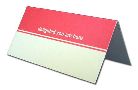 Formal deep pink table place card PL06