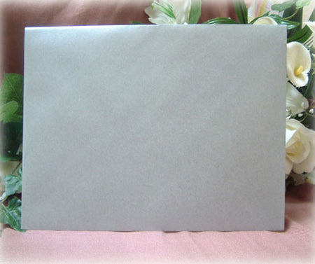 Silver 1611 Small Envelope