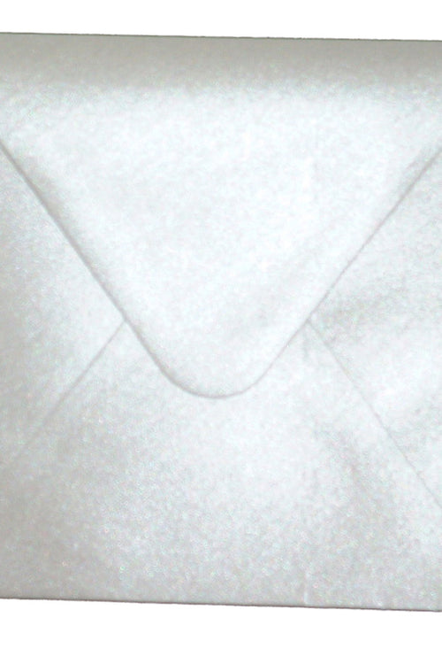 Load image into Gallery viewer, E8 Silver (PM40-27) Envelope
